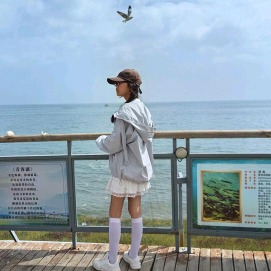 枯叶蝶