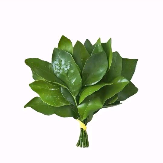 开心好不好