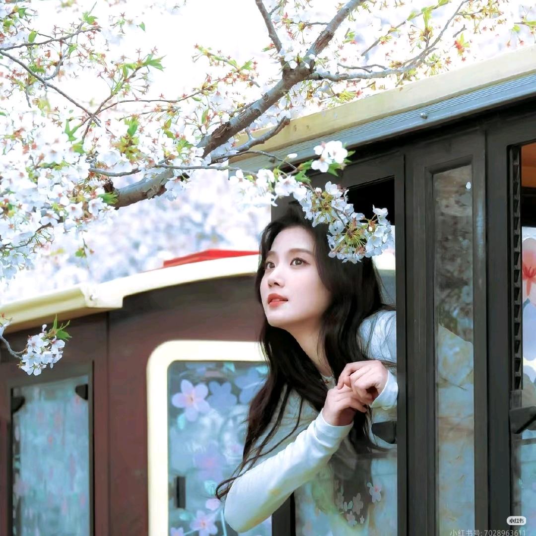 ℳ̶̶̶̶♡̶҉凋零ℳᥫᩣ