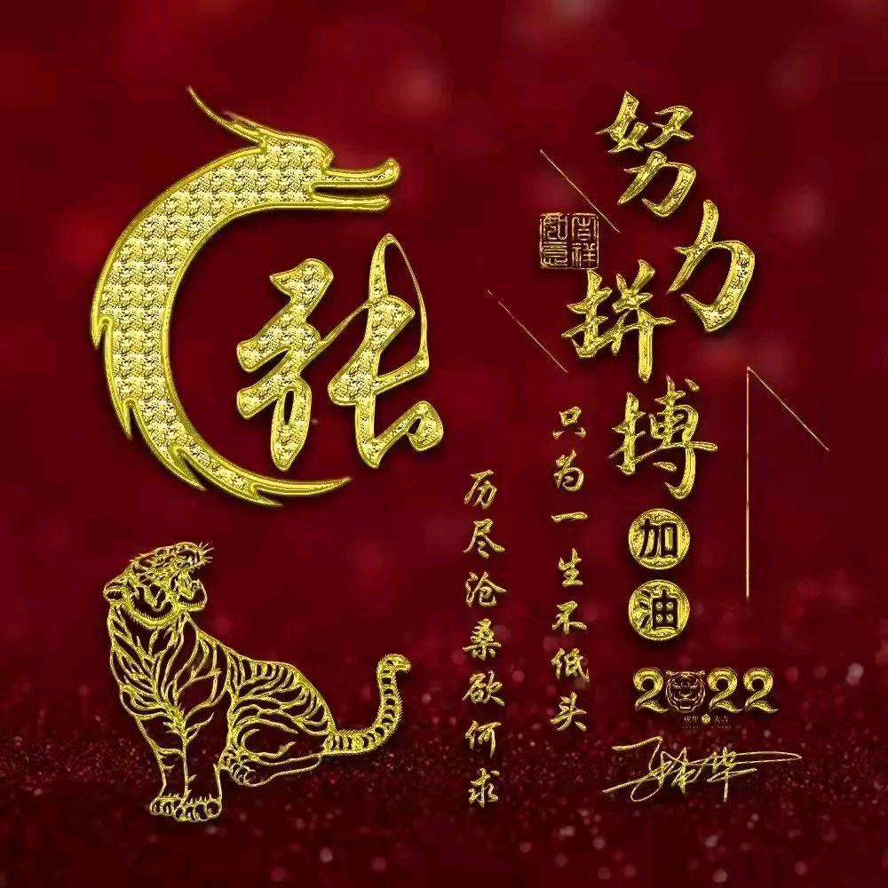 张家二少