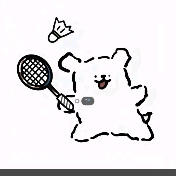 回羽国家一级捡球员🏸