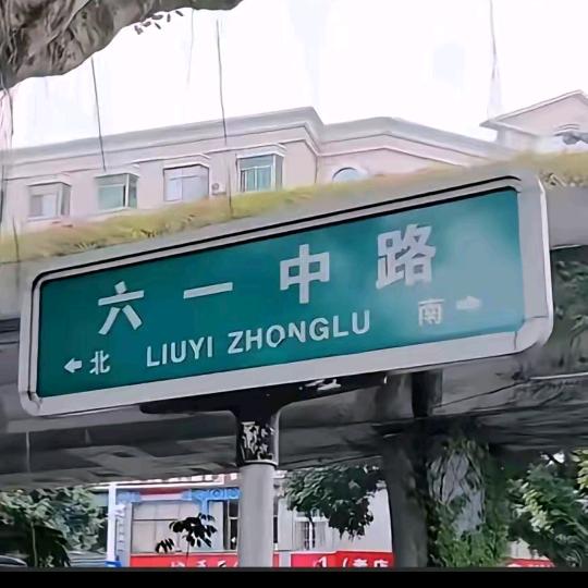 六一路小杨
