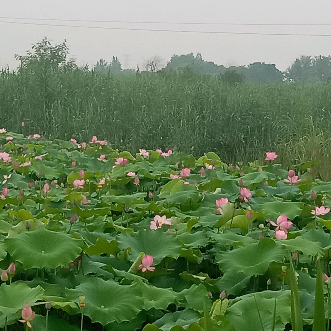 风光秀丽