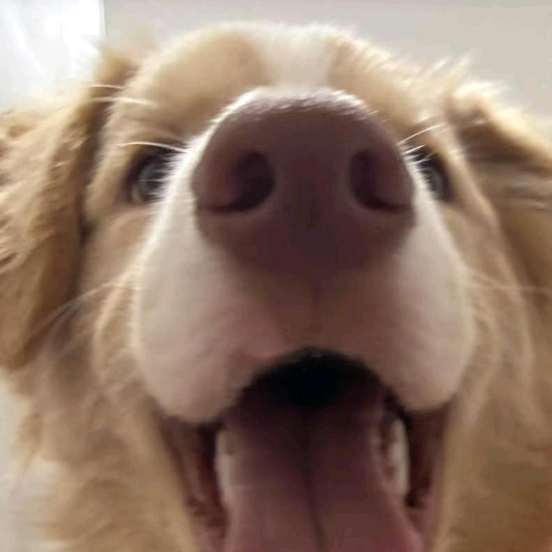 🌈🌈🌈哈哈:)