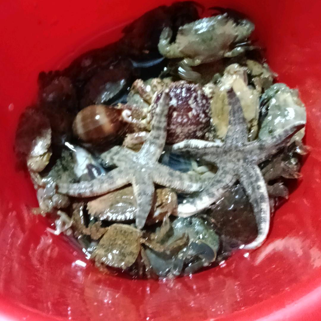 小徐亲子赶海拉地笼