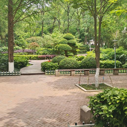 顺风顺水