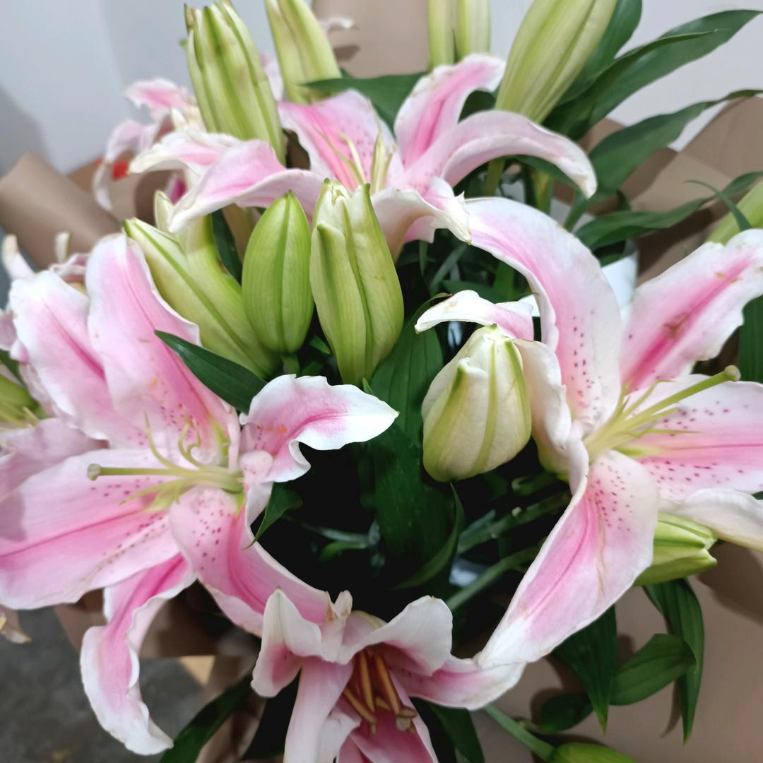 花漫九州🌺🌻
