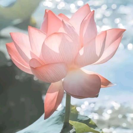 心心相融