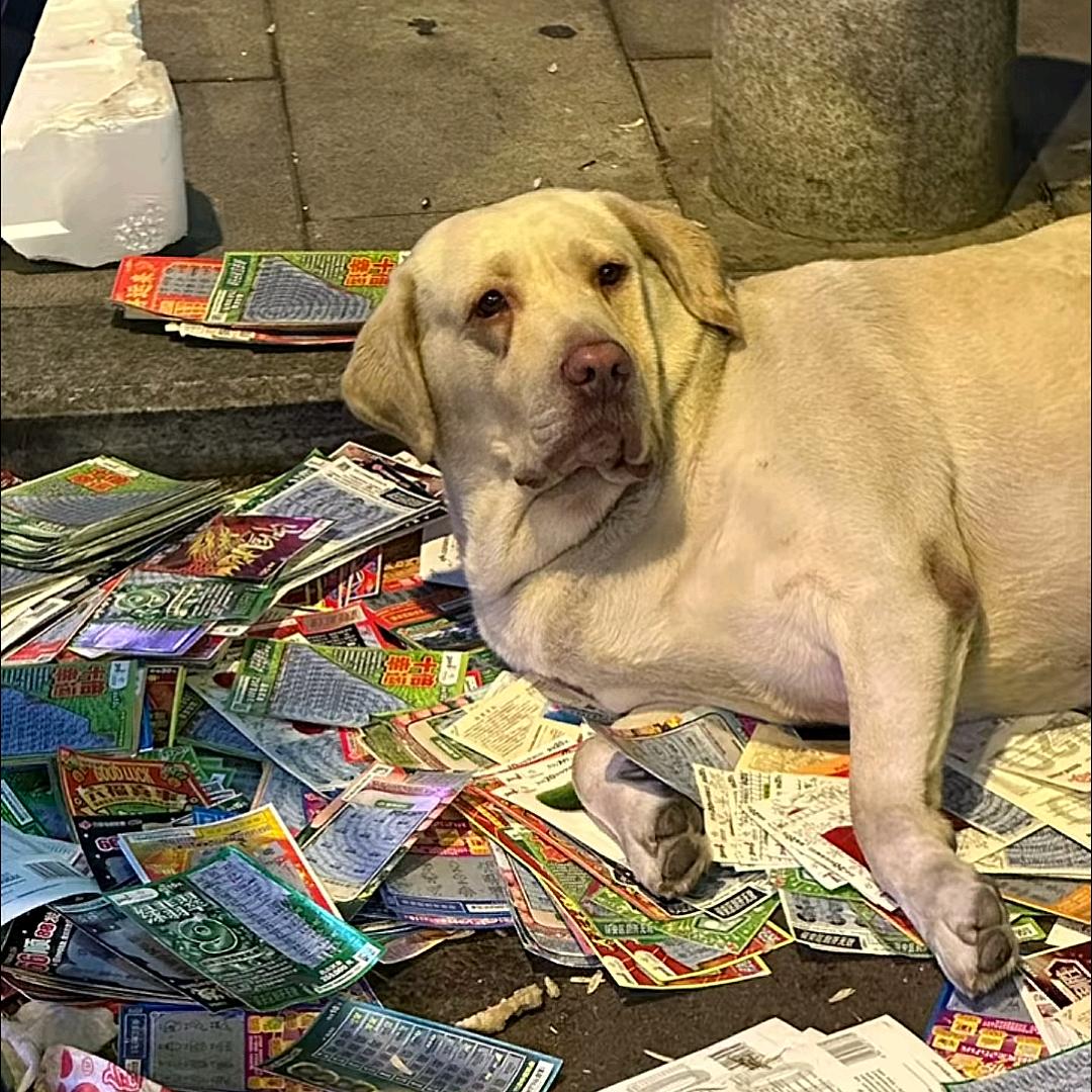 合理暴富🙏🙏🙏