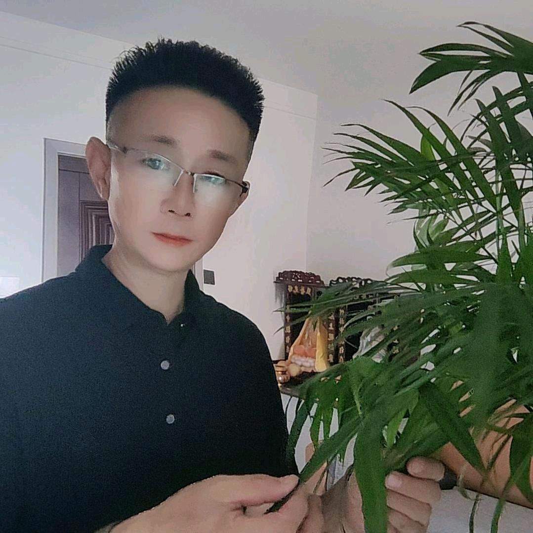 毛哥