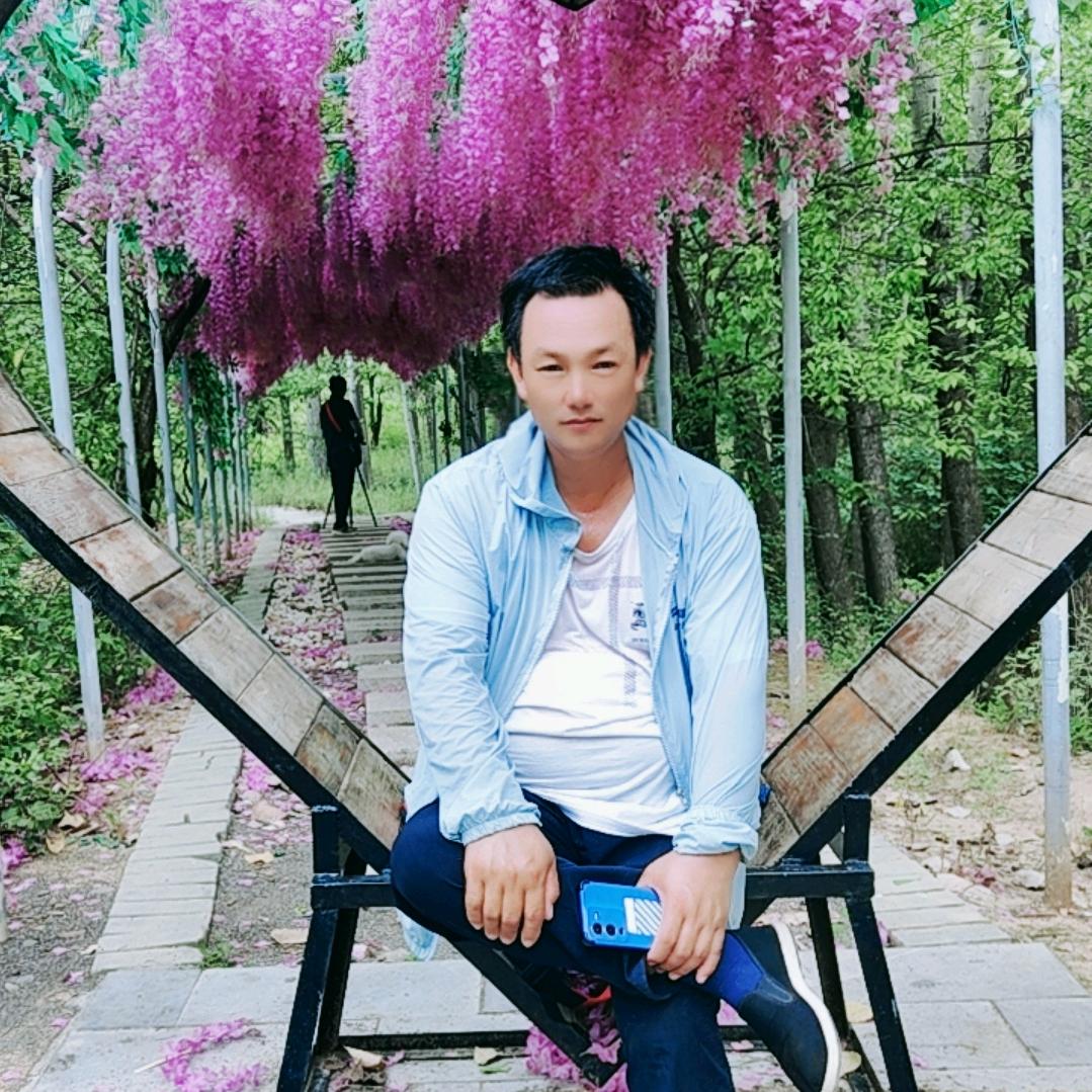 豫西王飞
