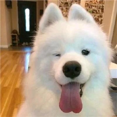 难赴