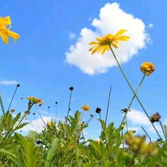 前程似锦@一路畅通