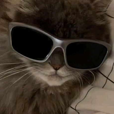 不是很困（无畏契约）