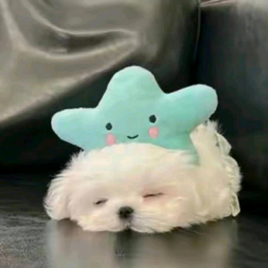 曰落柳林