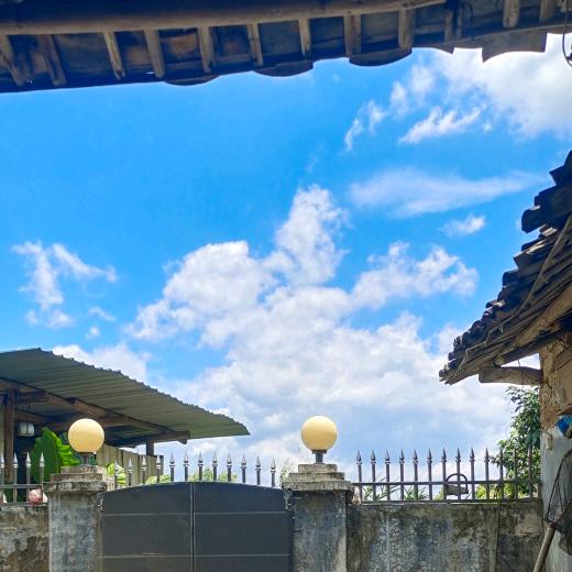 岭南佳红农场