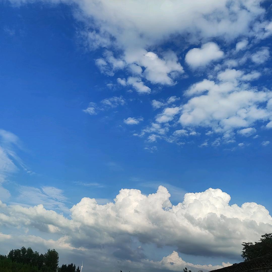 樂意李