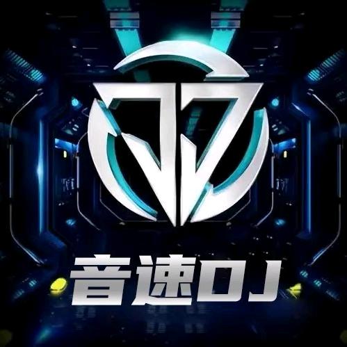 音速DJ🎵车载U盘