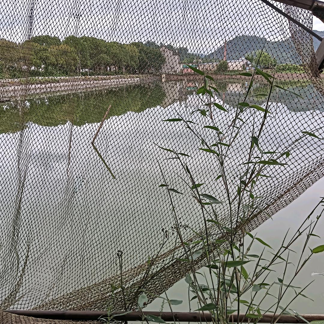 夏天的雨