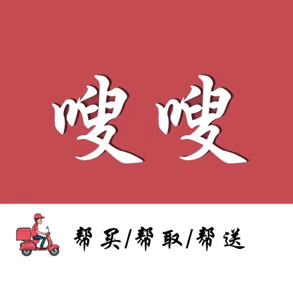 嗖嗖跑腿有限公司