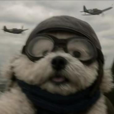 长矛沾屎戳谁谁死，水枪装尿呲谁谁叫！