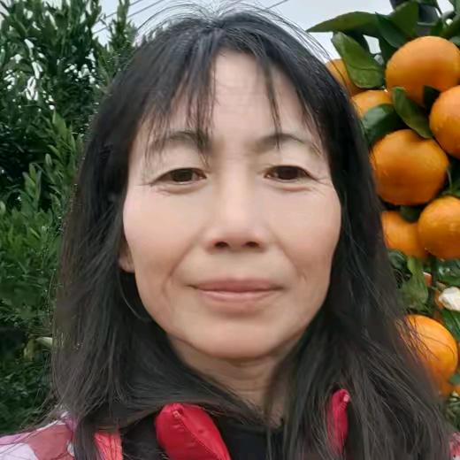 香山桔姐