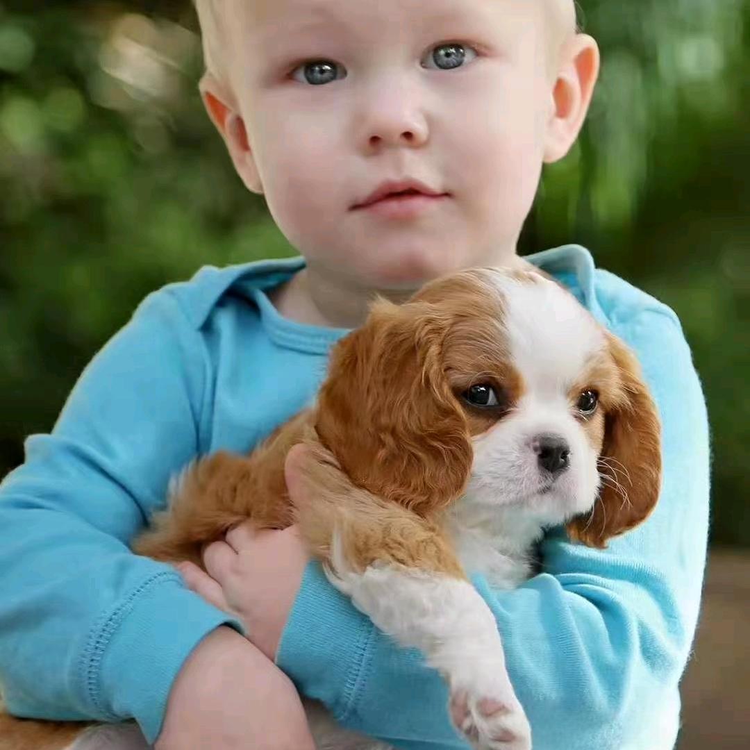 查理王，哈迪斯犬舍老板娘。