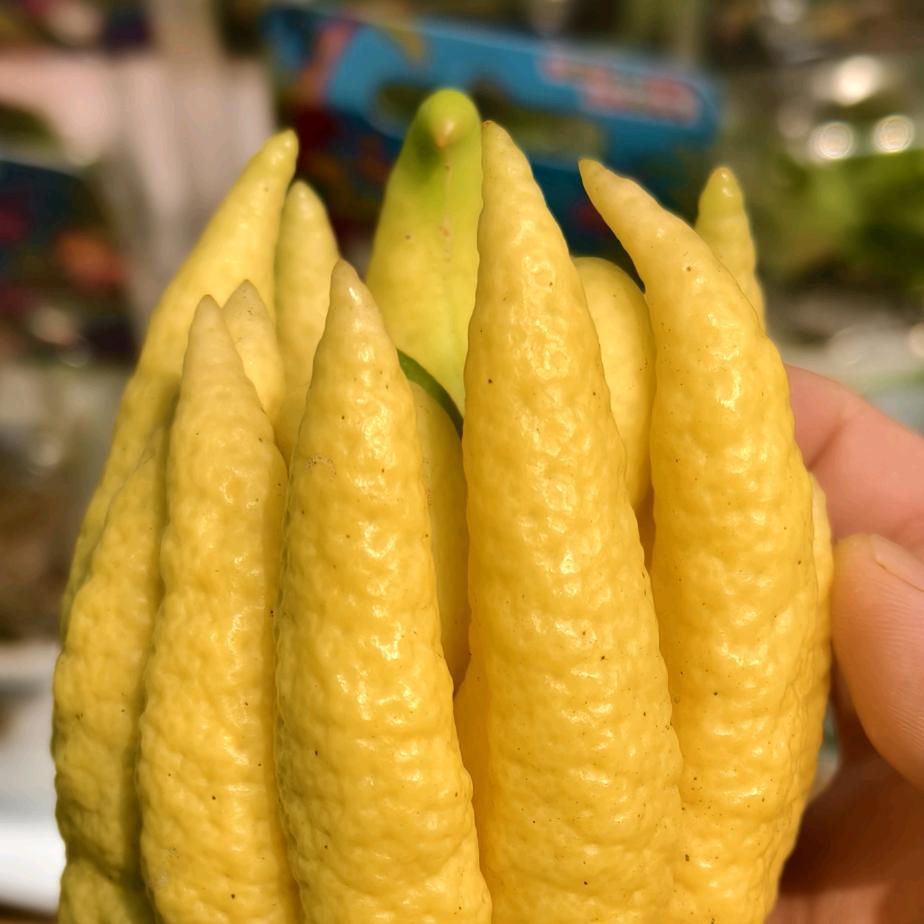 随便冲冲的小孙