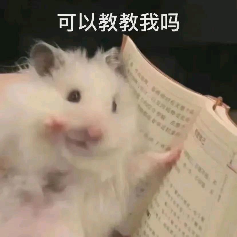 麻瓜逃离地球