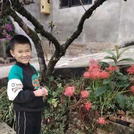红尘凡夫