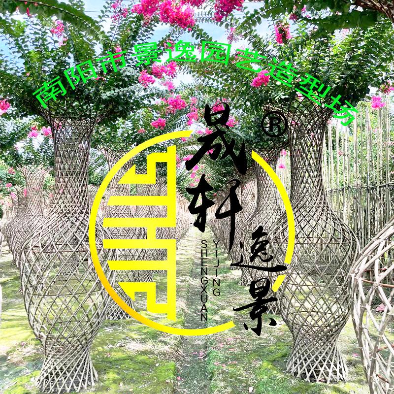 南阳市景逸园艺造型场