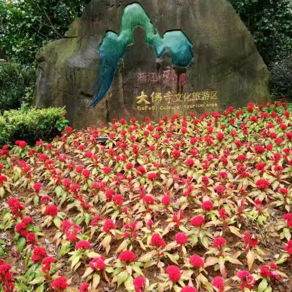 友谊永存