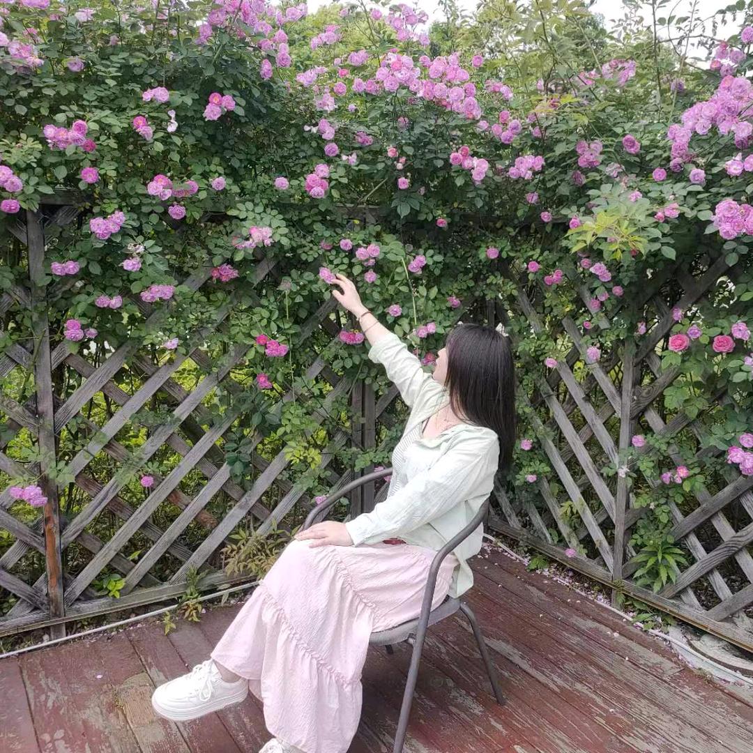 彩彩