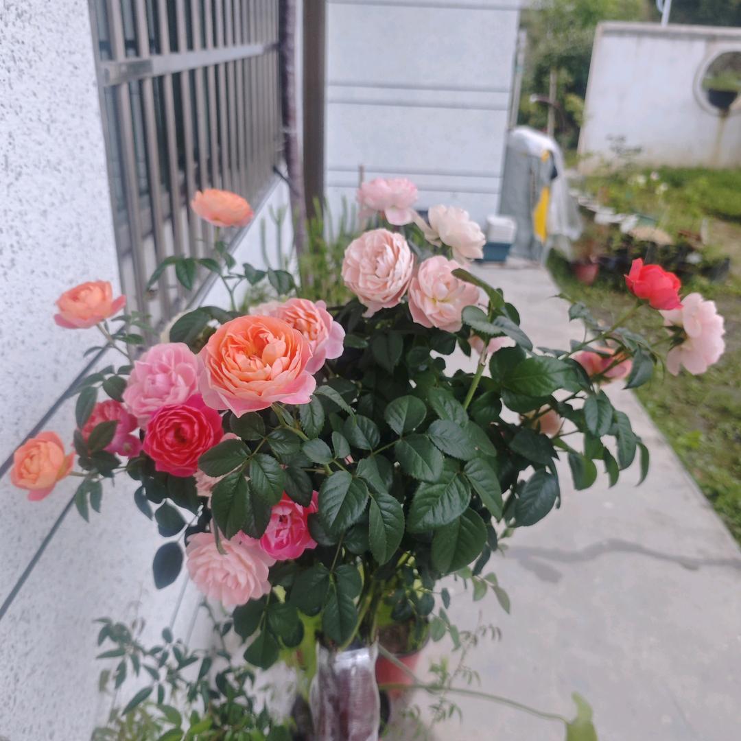 诚胜建材