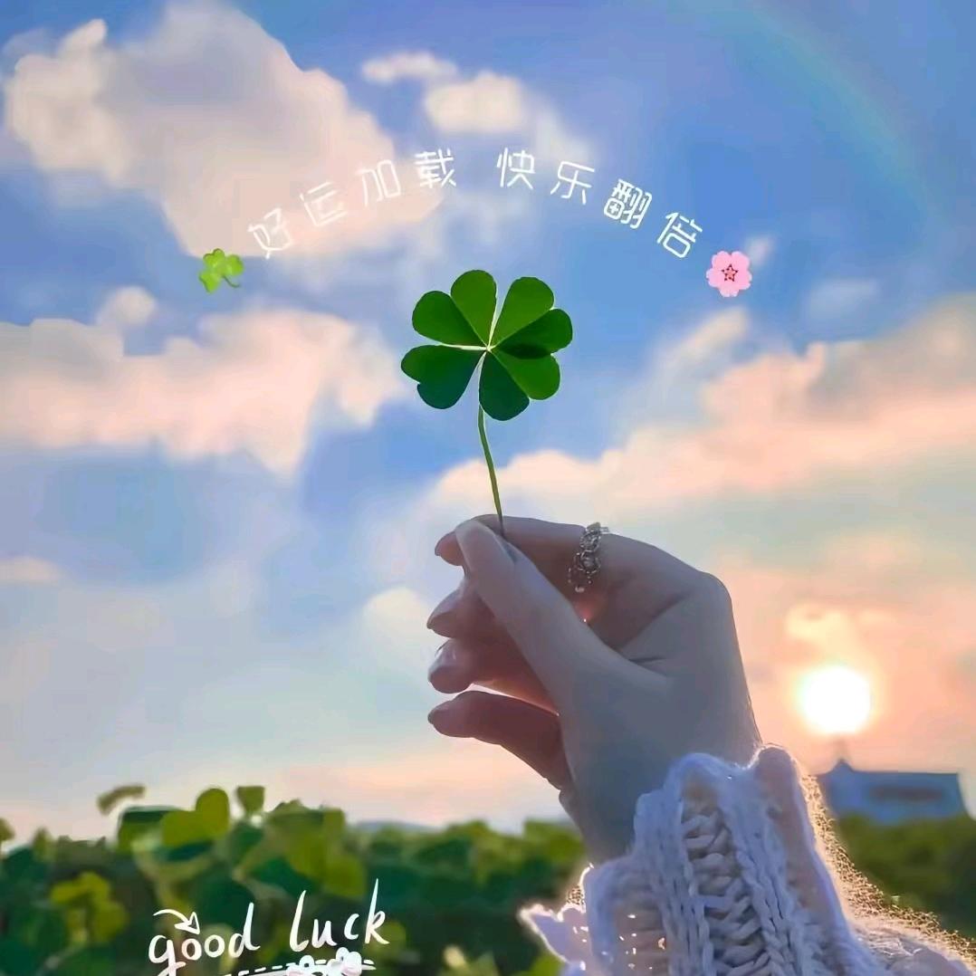 🥗🎋随缘自在💫🐒