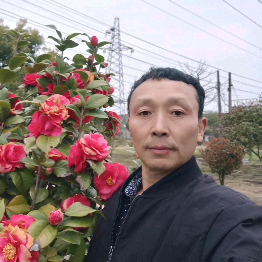 ，中涛