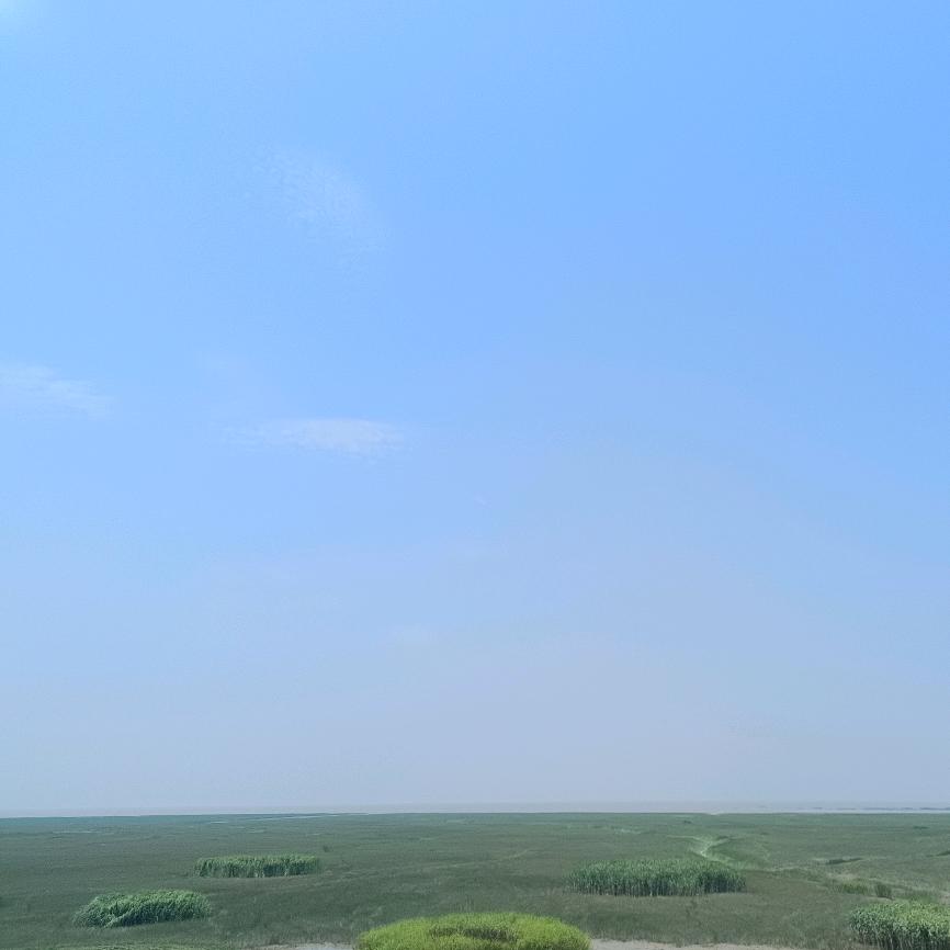 物我两忘