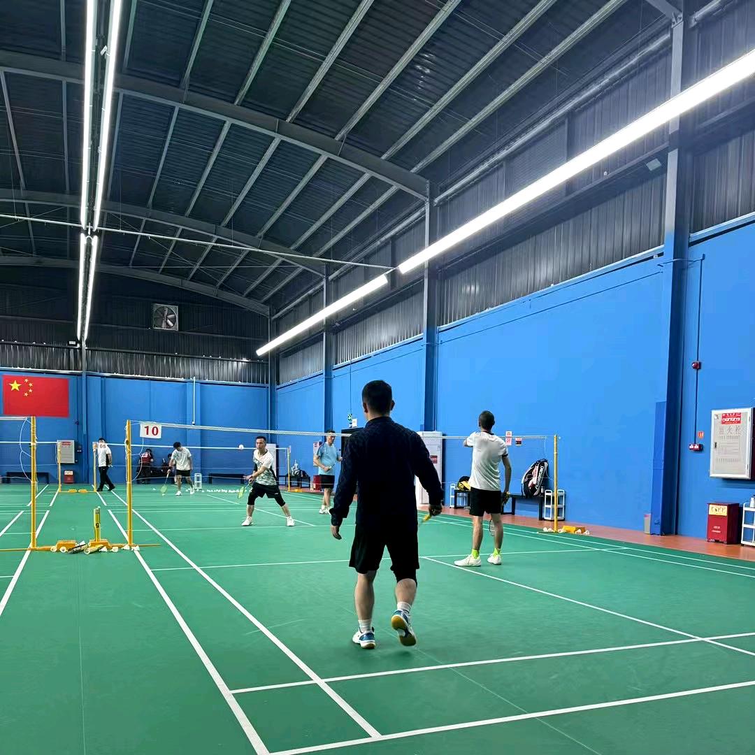 新颖照明羽毛球馆灯