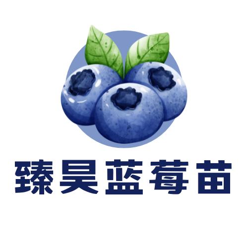 丹东臻昊蓝莓苗