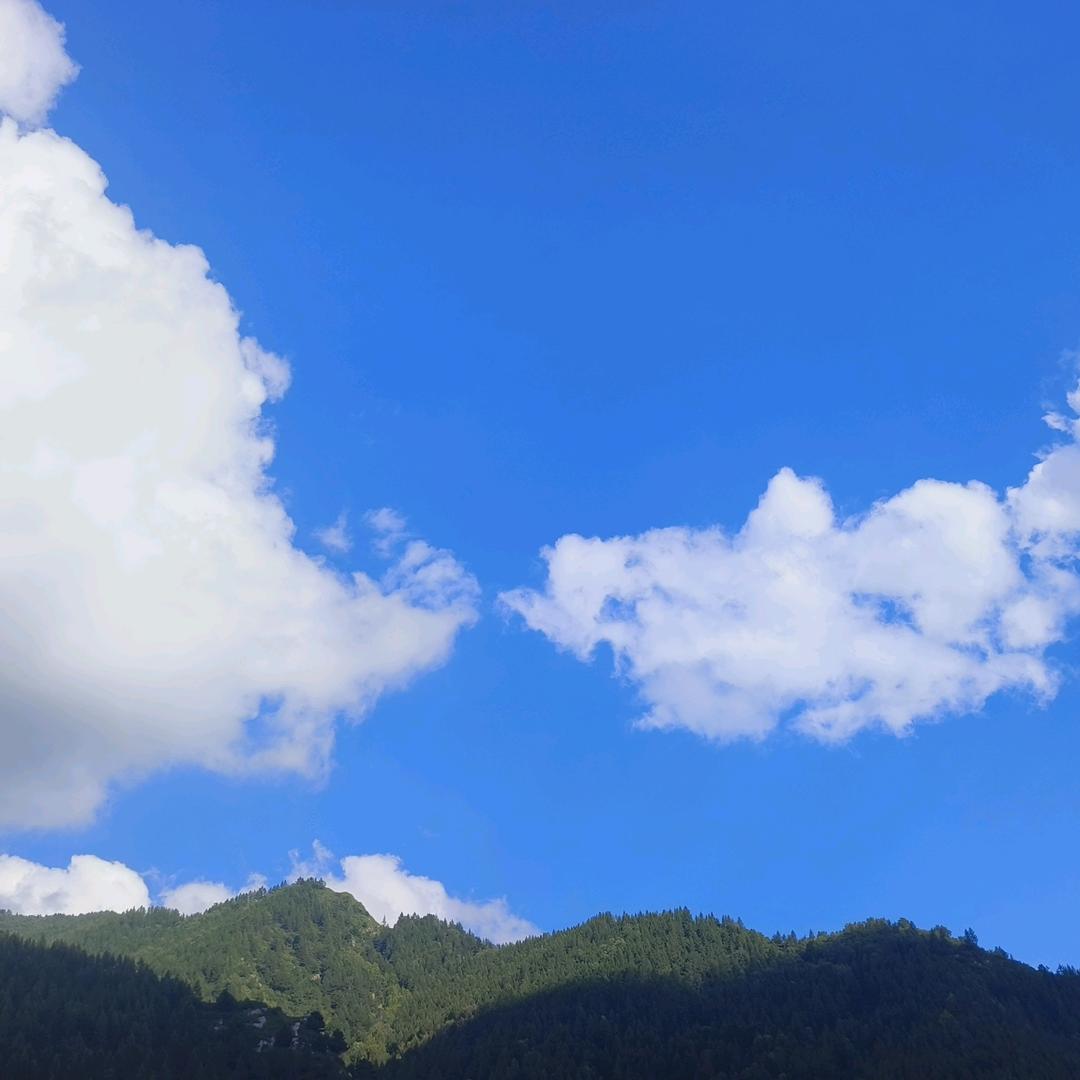 格致守心