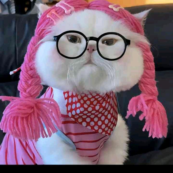 姐厉害着呢