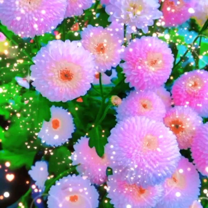 用户快乐每一天