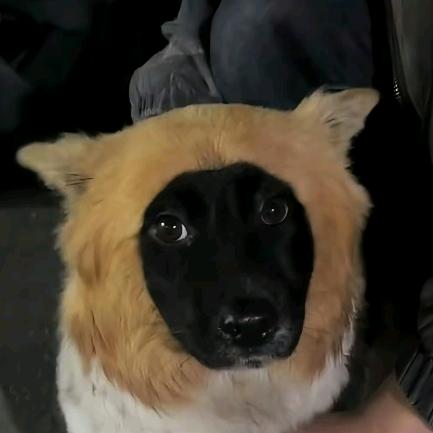 忽略不计