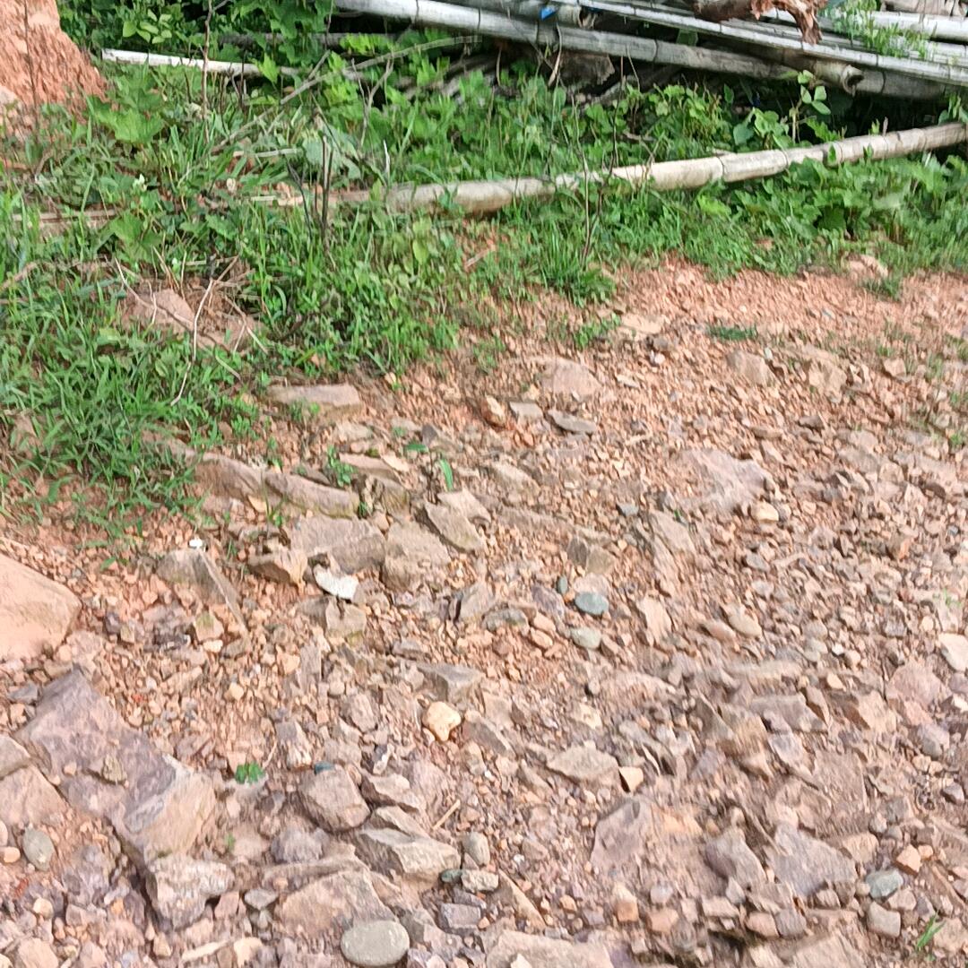 夏明姣