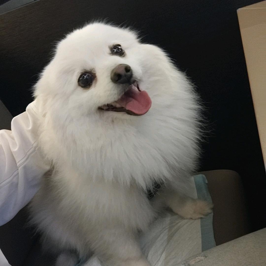 青檀汇穿戴甲