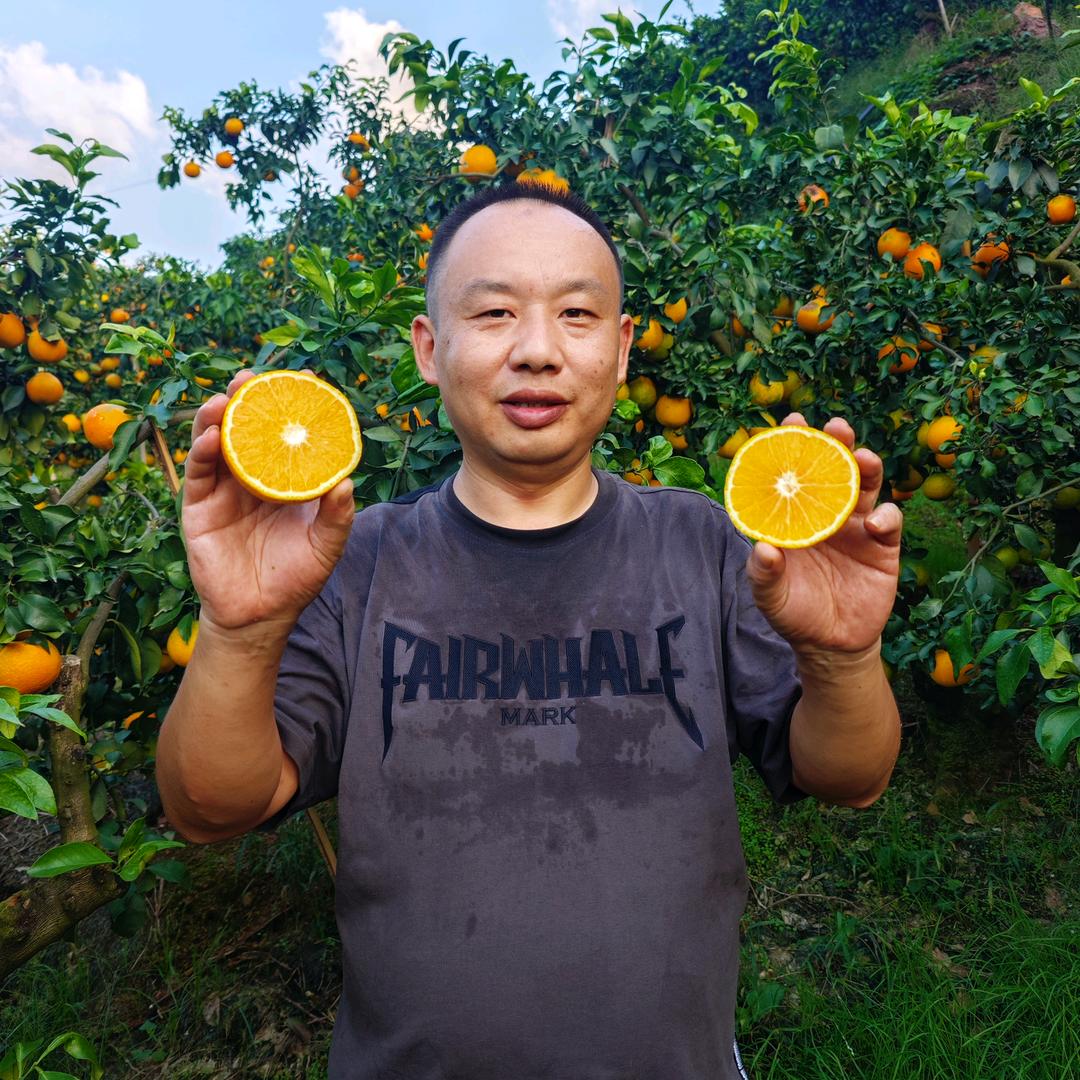 山获果园（王高）