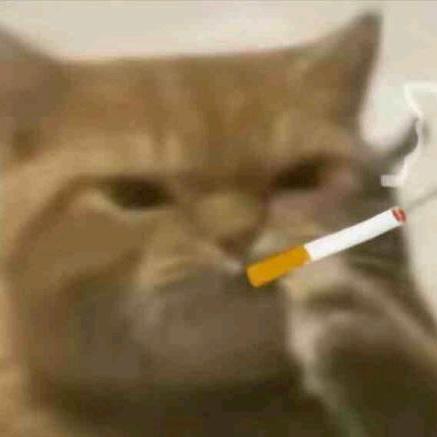槐序