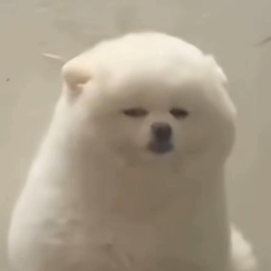 →_→