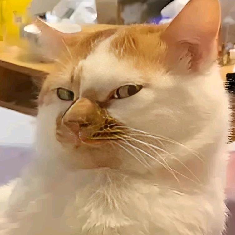 夭夭十弎
