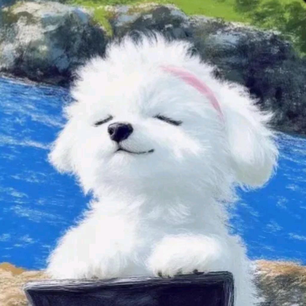 ᵕ̈보이그룹ᵕ̈